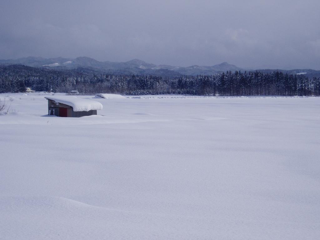 jpg/060107snow 004.JPG
